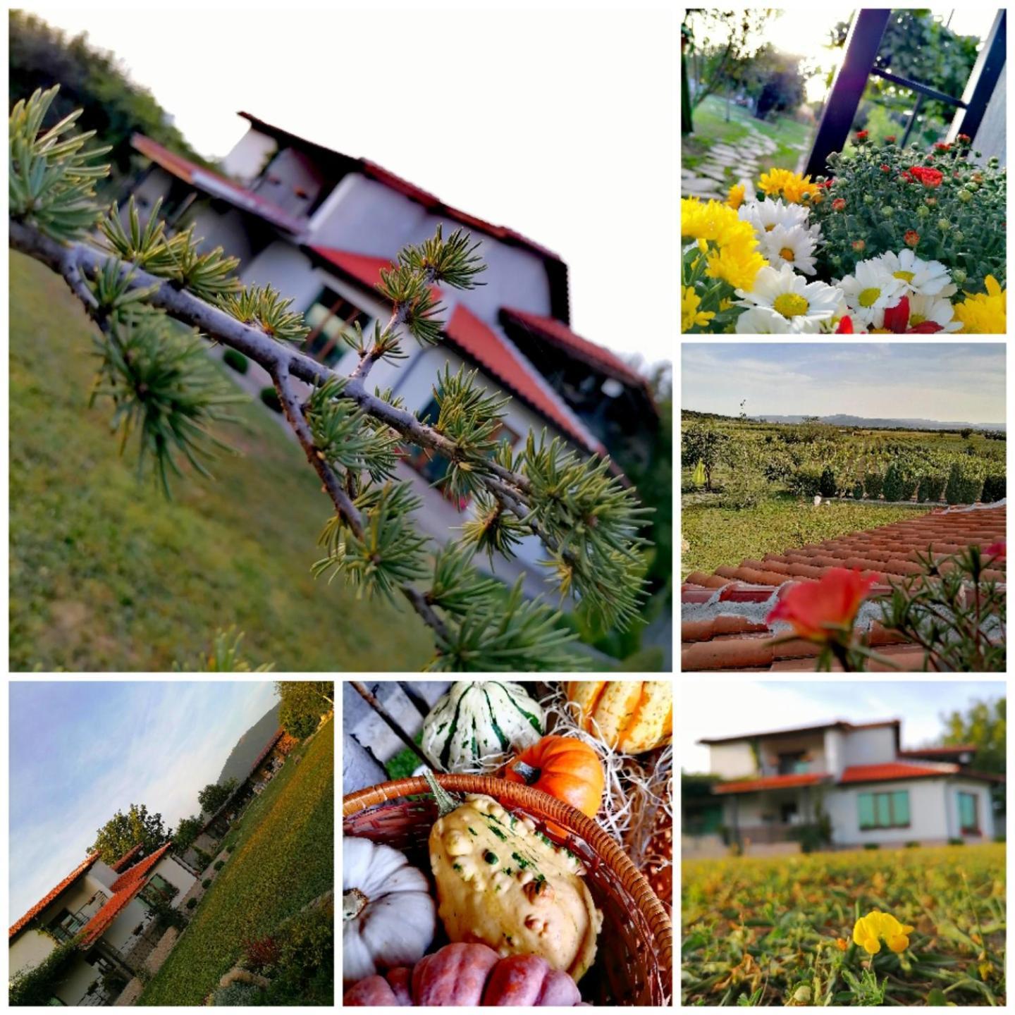 Къща За Гости Сърцето На Долината /The Heart Of The Valley Enina Exterior foto
